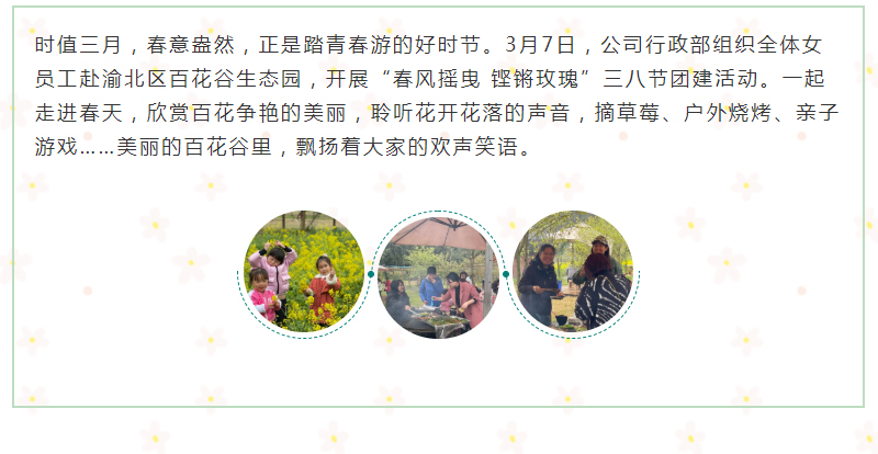 香港六台盒宝典资料大全
