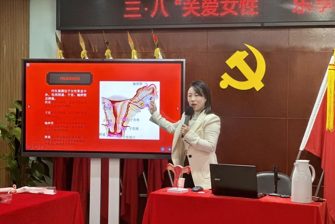 香港六台盒宝典资料大全