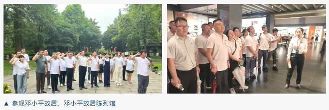 香港六台盒宝典资料大全
