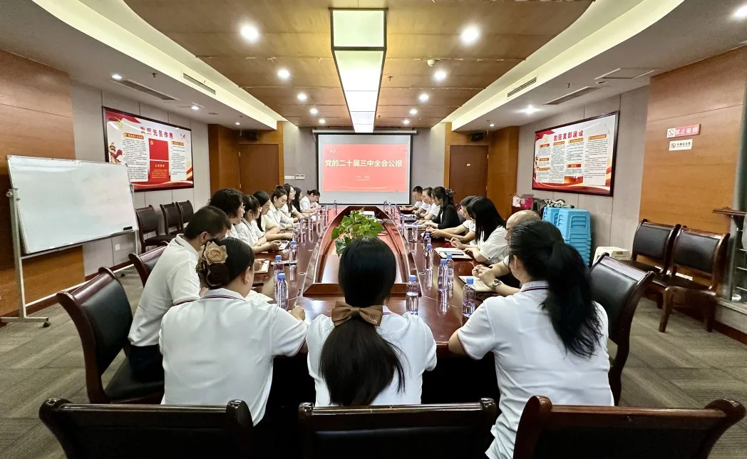 香港六台盒宝典资料大全