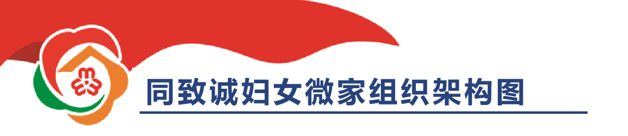 香港六台盒宝典资料大全