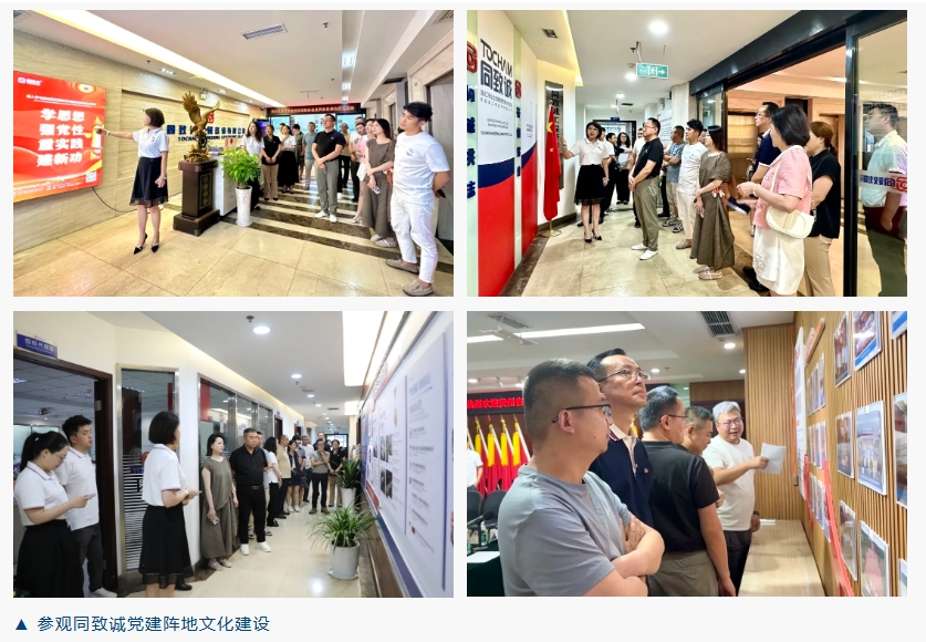香港六台盒宝典资料大全