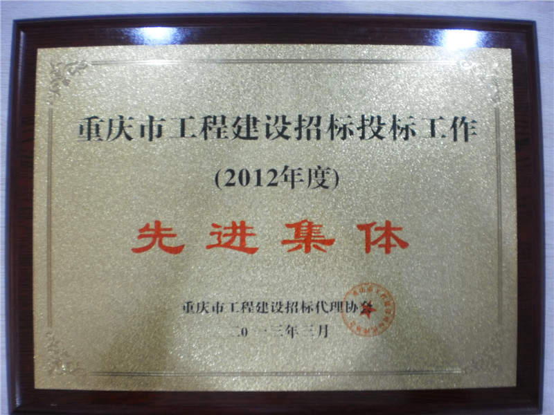 2012年工程建设招标代理先进集体